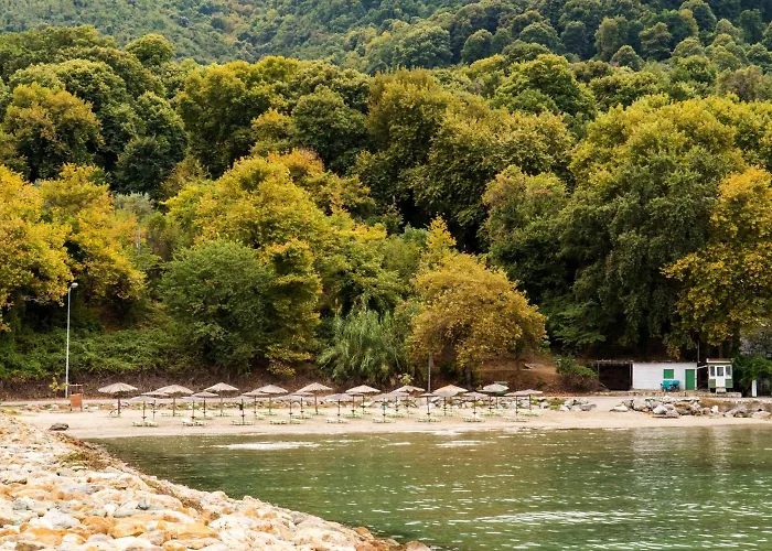 Vlassis Stomion (Thessaly)